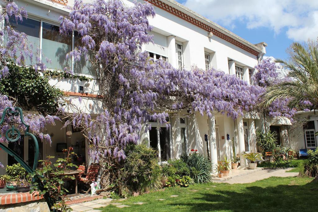 Domaine Saint Nicolas Bed and Breakfast Perpignan Eksteriør billede